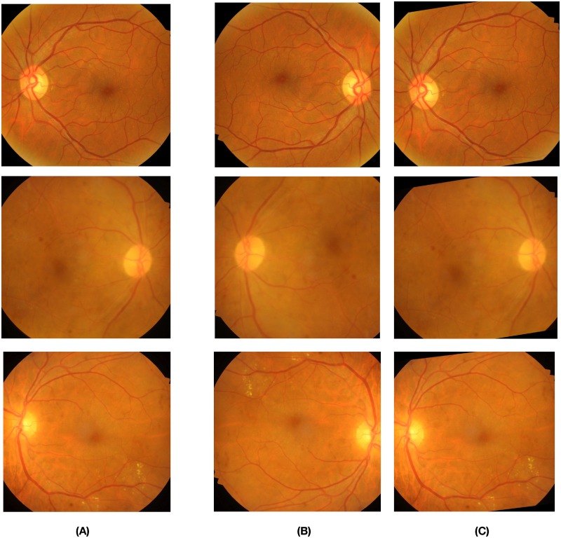 Fig 2