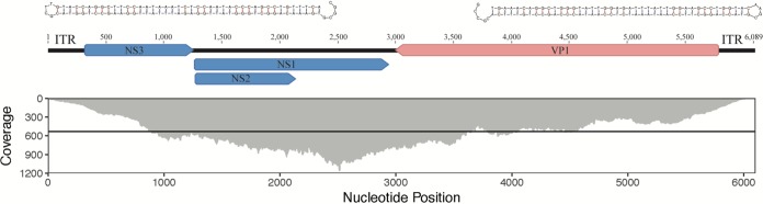 FIG 1