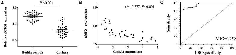 FIGURE 1