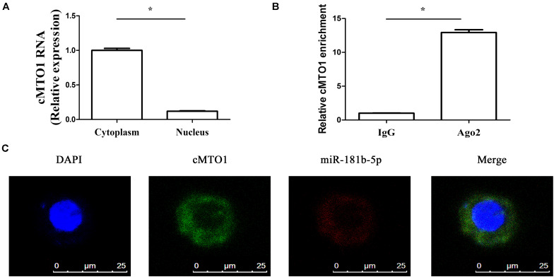 FIGURE 4