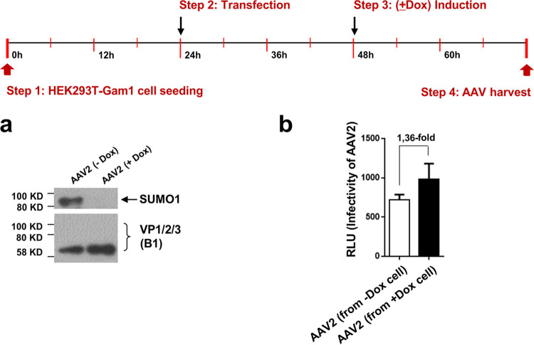 FIG 11