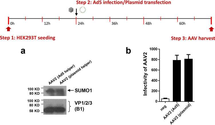 FIG 10