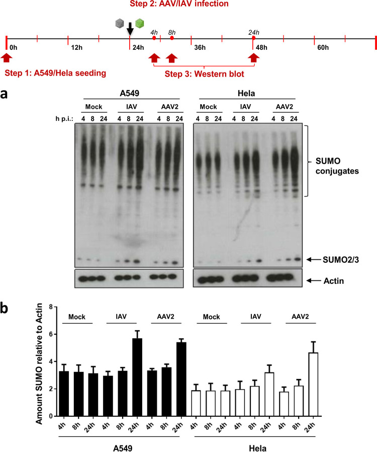 FIG 6