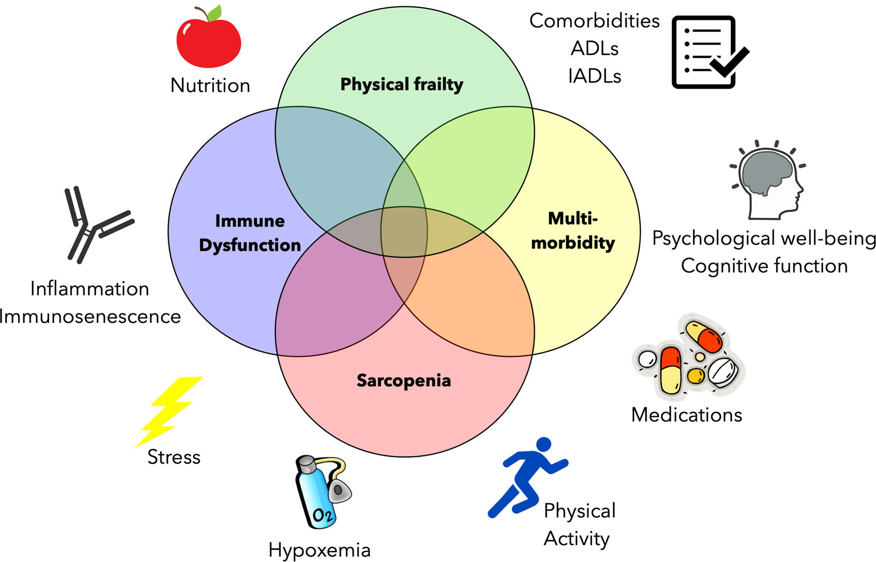 Figure 1: