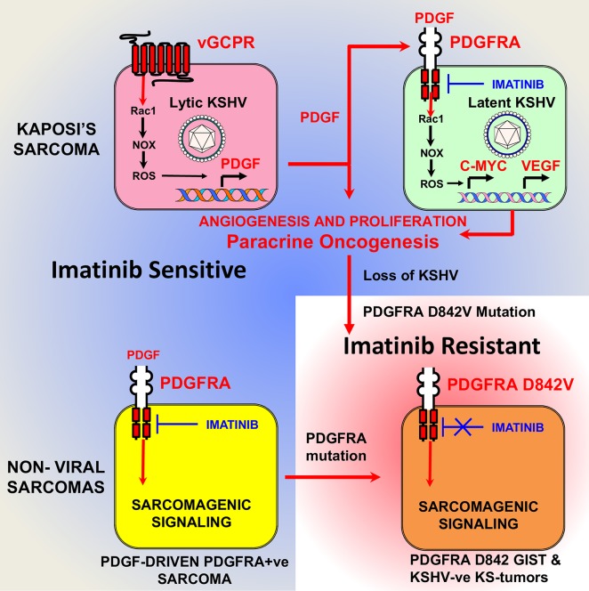 Fig 10