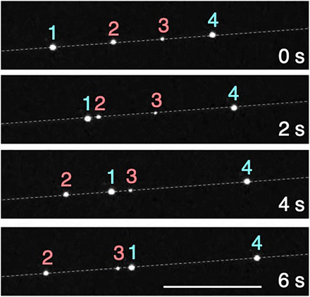 Fig. 3