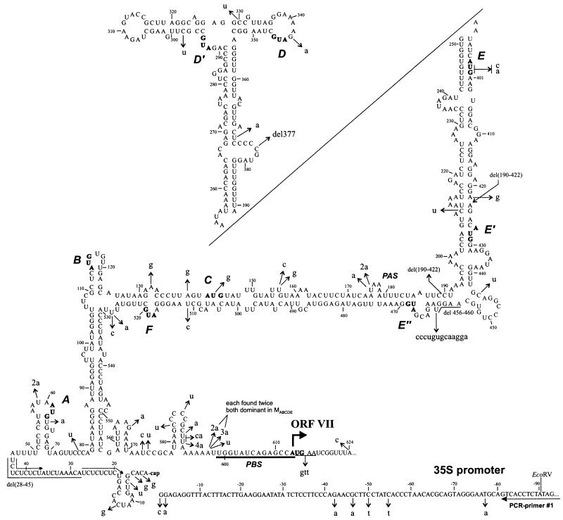 FIG. 6