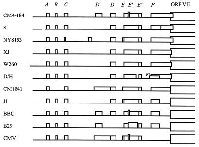 FIG. 1