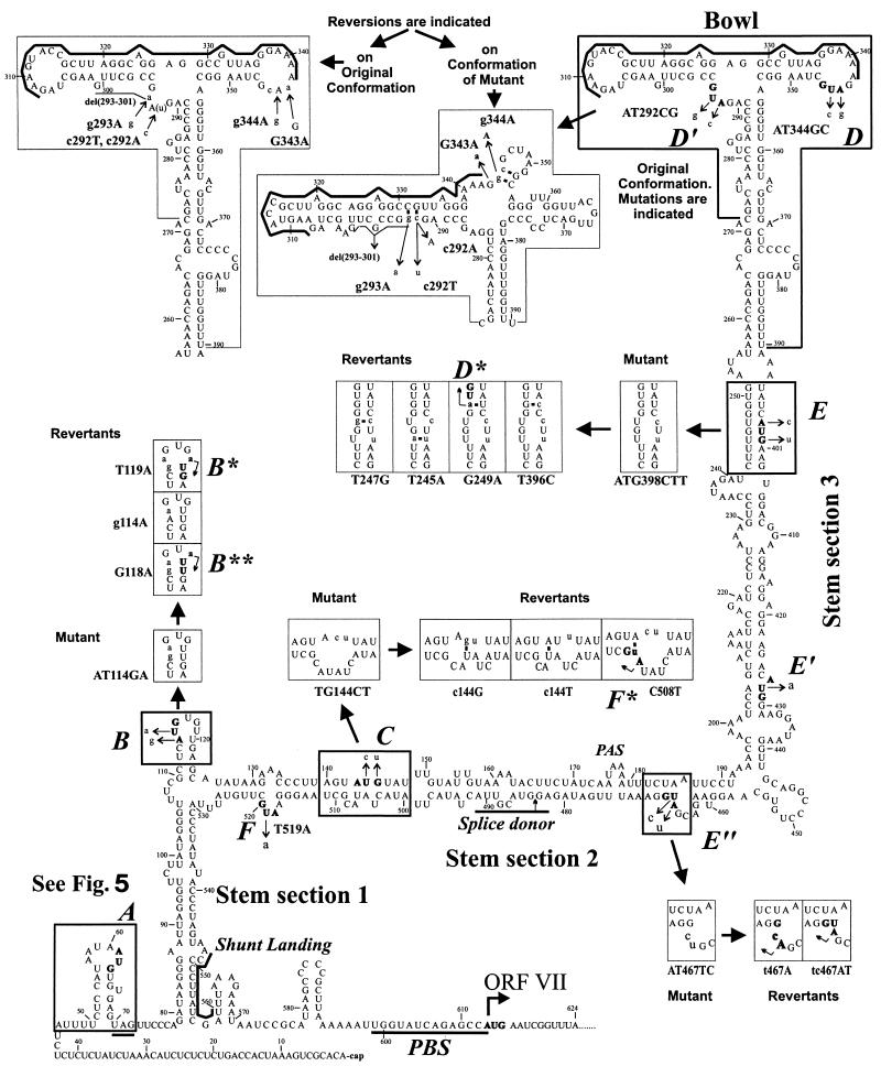 FIG. 4