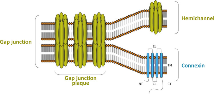 Fig. 3