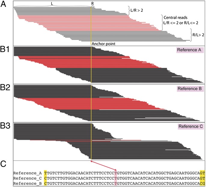 Fig. 2.