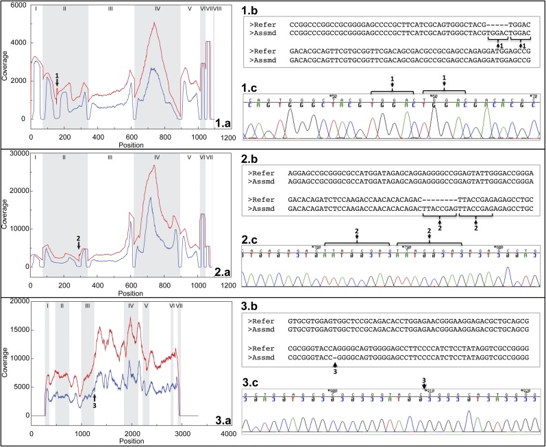 Fig. 3.