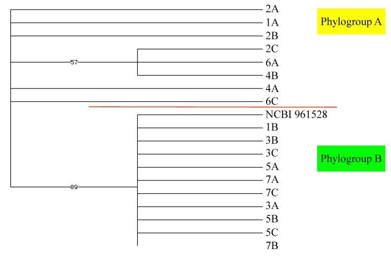 Figure 7