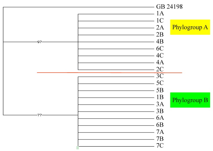 Figure 6