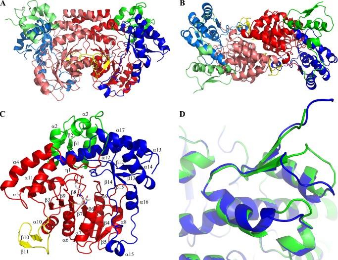 FIGURE 1.