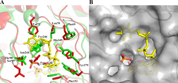 FIGURE 4.