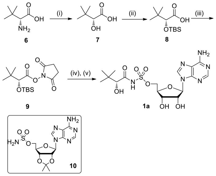 Scheme 1