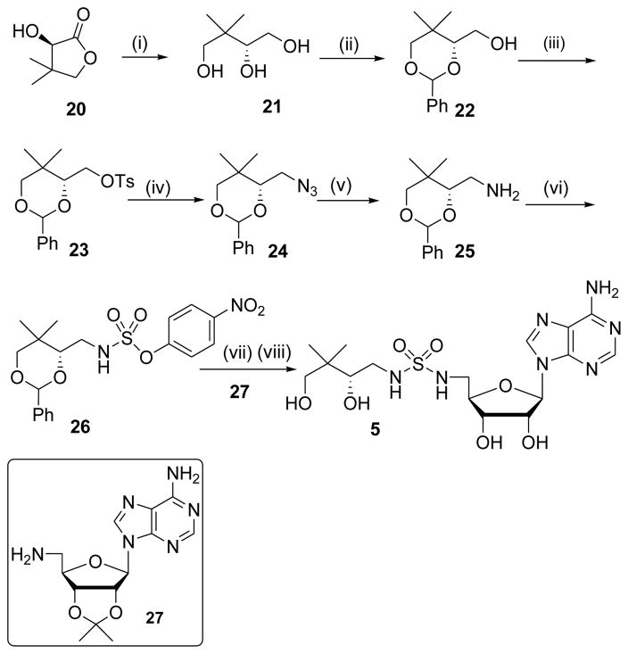 Scheme 5