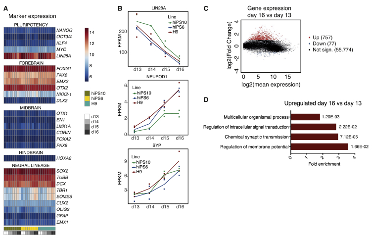 Figure 3