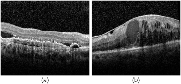 Fig. 10