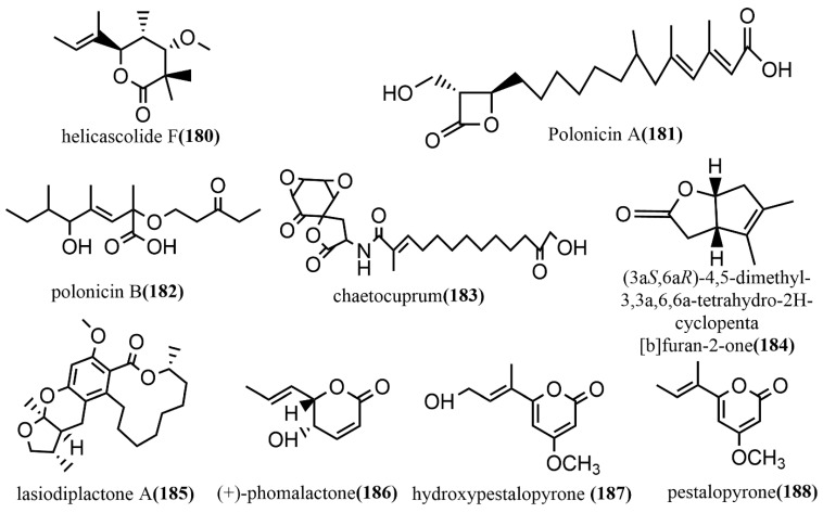 Figure 13