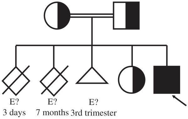 FIG 2