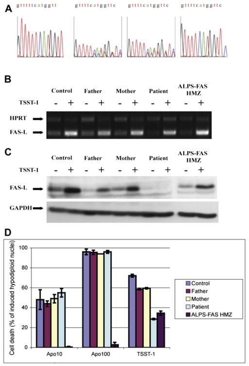 FIG 3