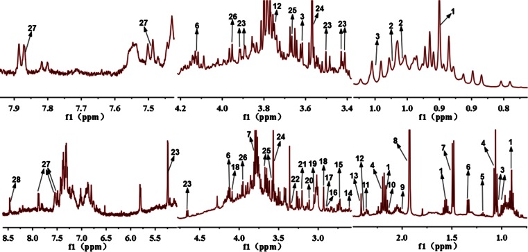 Fig. 2