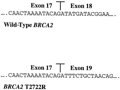 Figure  4