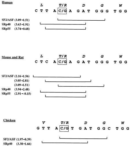 Figure  1