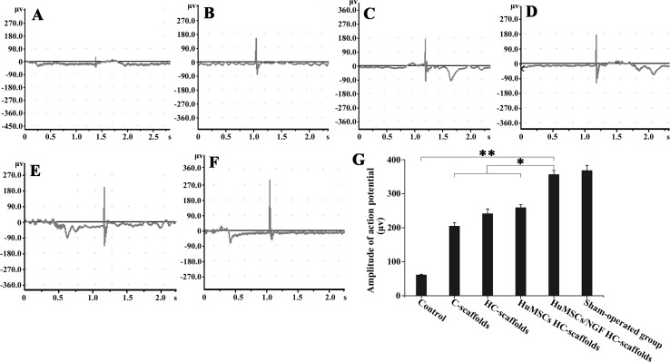 Fig. 6