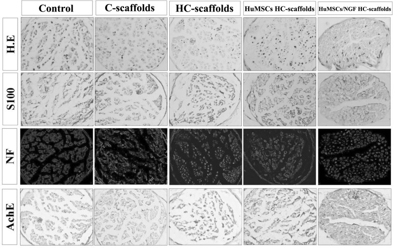 Fig. 7