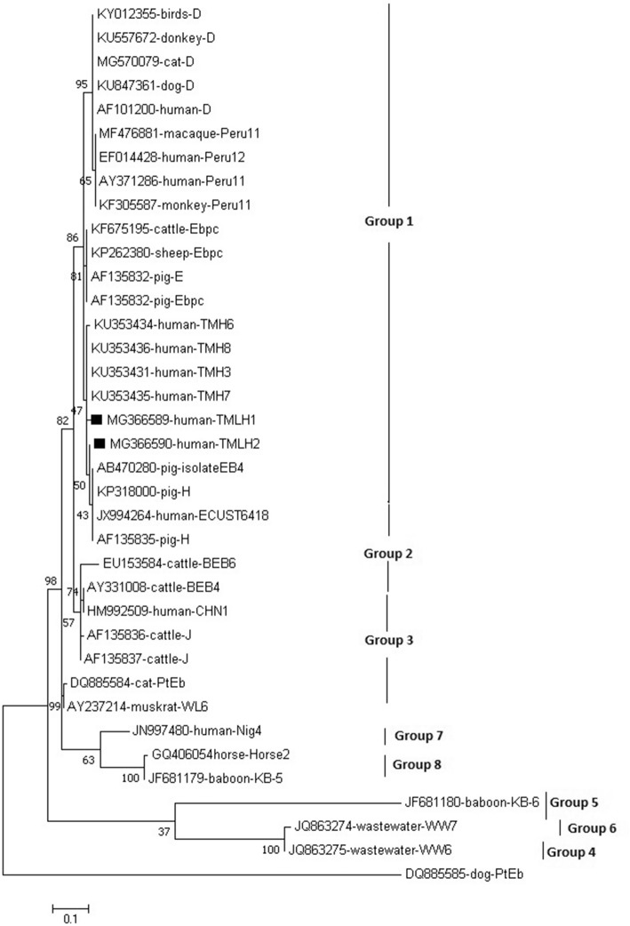 Fig. 2