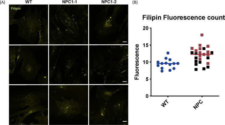 Fig 6