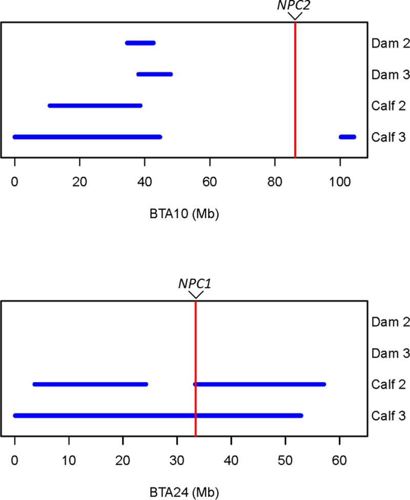 Fig 3