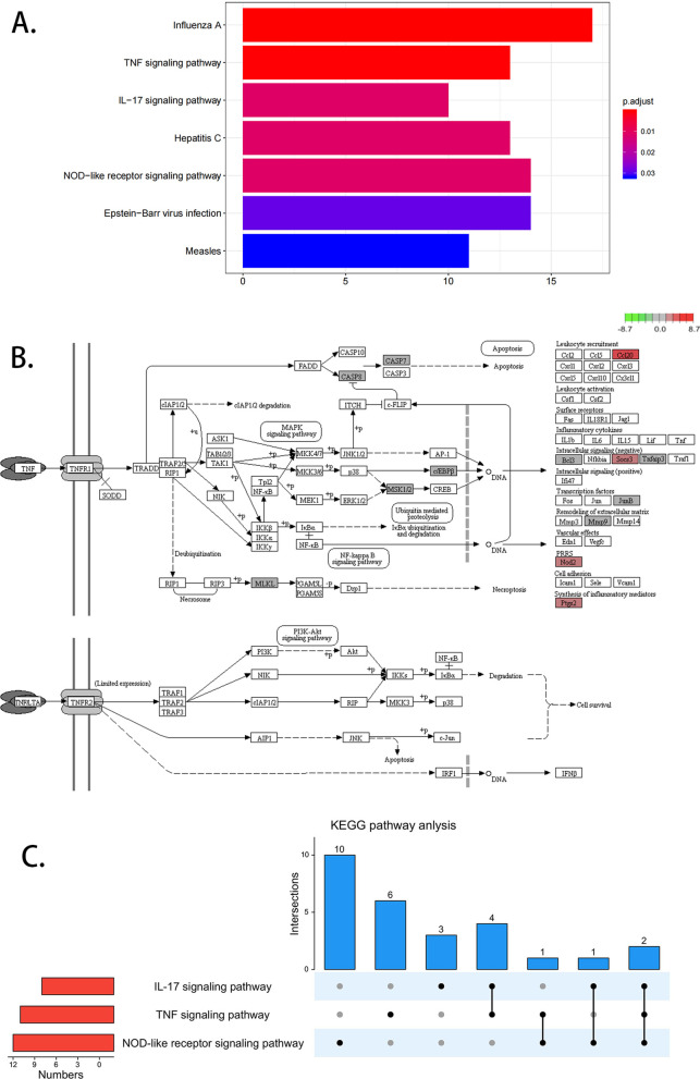 Fig. 2