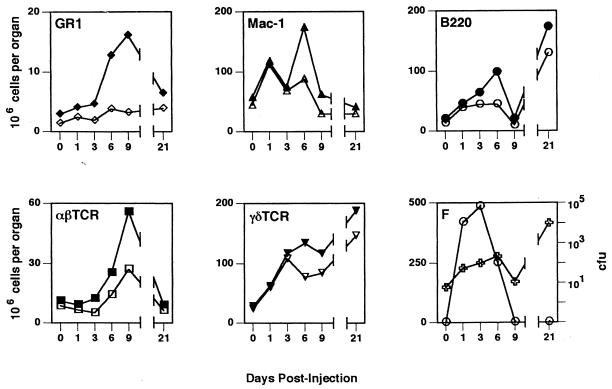 FIG. 6