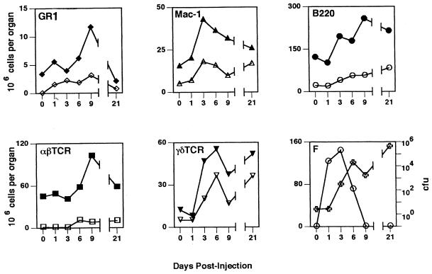 FIG. 7