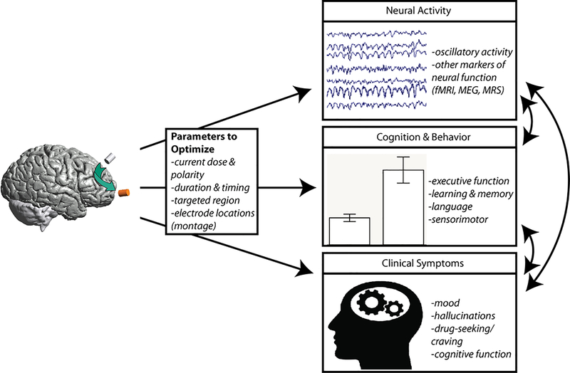 Figure 1: