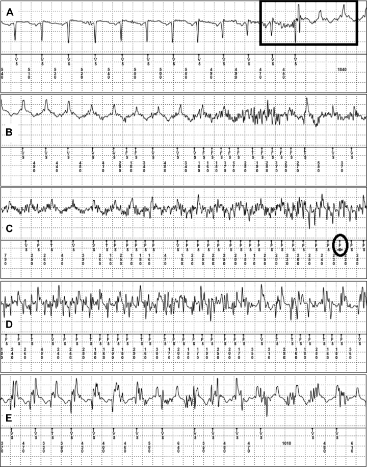 Figure 3