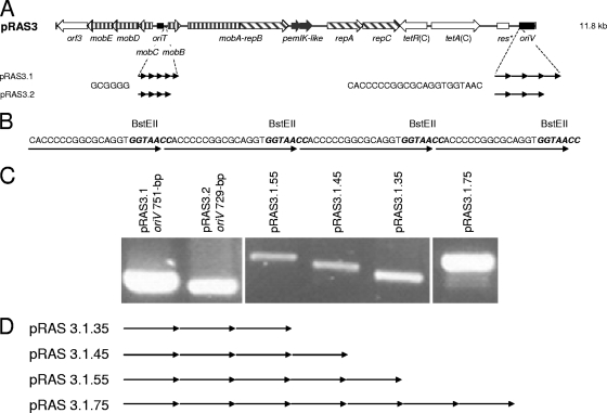 FIG. 1.