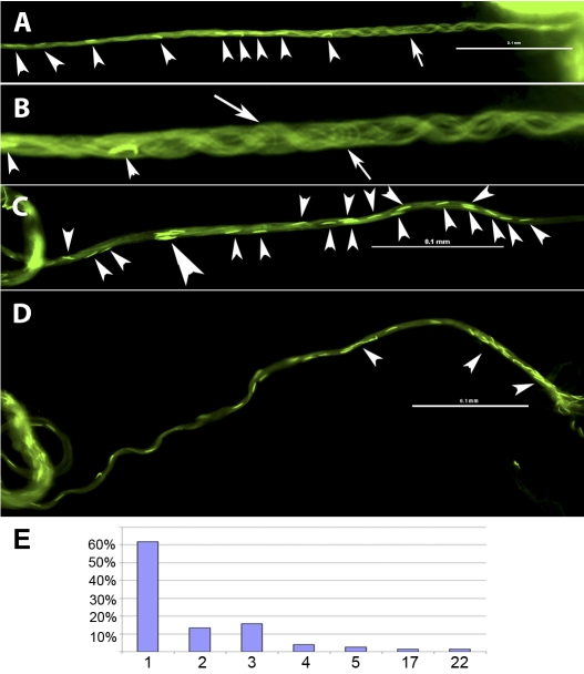 FIG. 4.