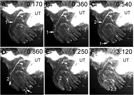 FIG. 7.