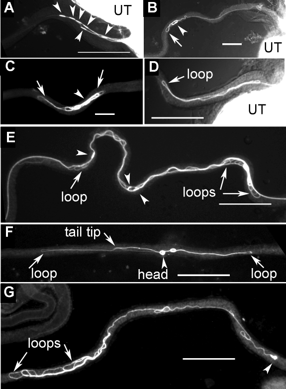 FIG. 6.