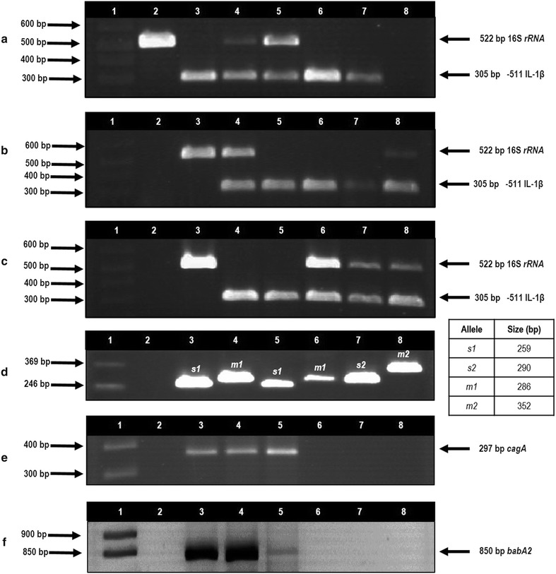 Fig. 3