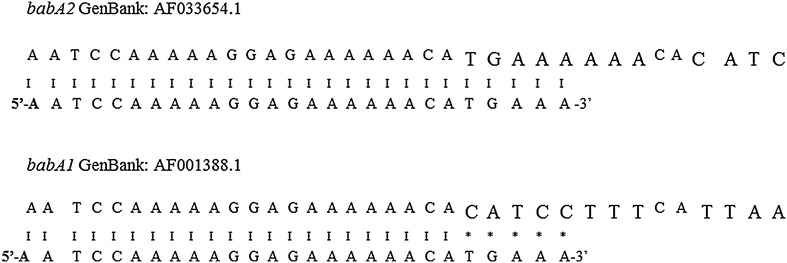 Fig. 2