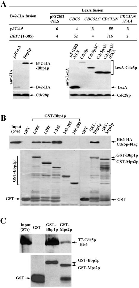 Figure 2.