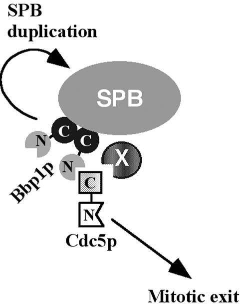 Figure 9.