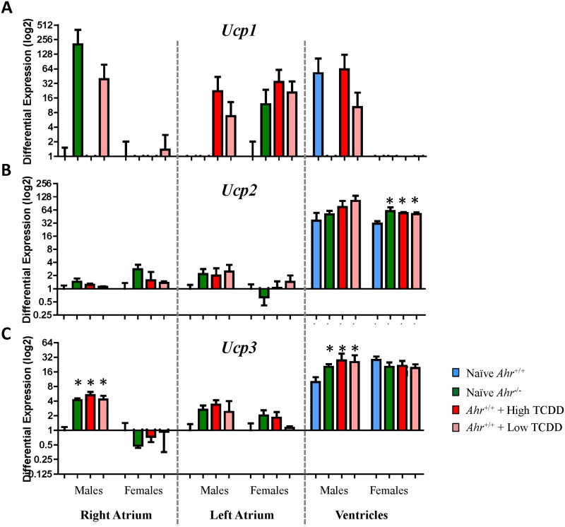 Fig 6