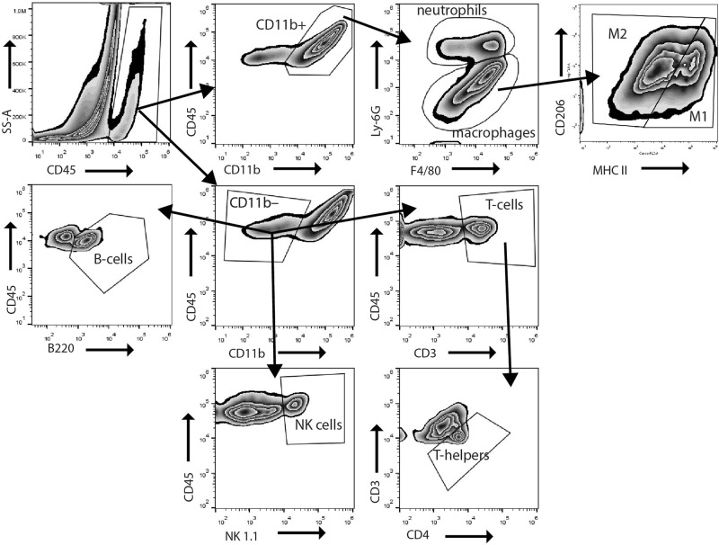 Fig. 2